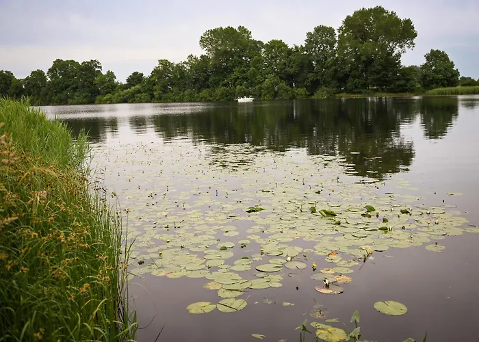 - Eidernest 3 Suderstapel